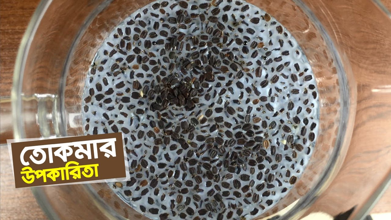তোকমা দানা Basil Seeds