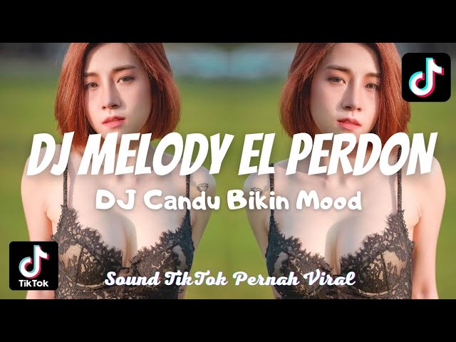 DJ MELODY EL PERDON CANDU NYA SOUND LAMA TIKTOK YANG PERNAH VIRAL class=