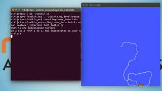 ROS Tutorial 1: Intoxicated Turtle