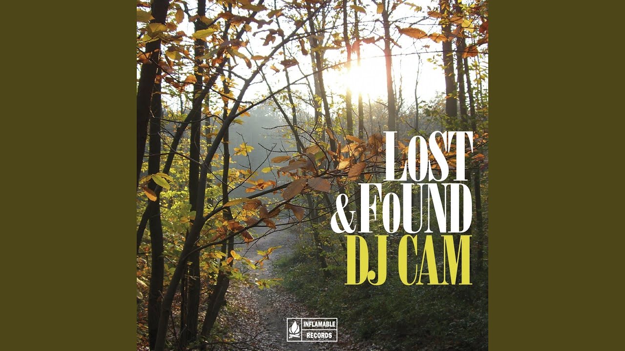 DJ Cam / Lost & Found LP レコード DJ Cam - Lost & Found [LP]｜全てのカテゴリー｜Paddy Field Records