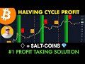 Bitcoin halving cycle profit  altcoins  explained