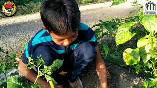 RUMAH GAGASAN KETAHANAN PANGAN RAKYAT JAWA BARAT : ADIT SETIAP HARI NGEBON