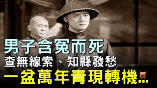 男子冤死，身上無傷，知縣正發愁，忽夢一盆萬年青，轉機出現...#古代奇案故事 #楓牛愛世界