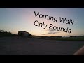 Morning walk through forest and sunset 