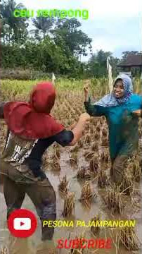 joged di sawah