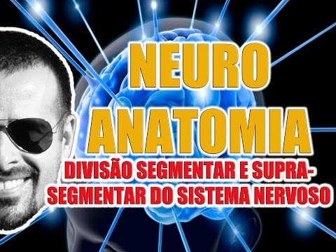 Vídeo: Caracterização Transversal E Longitudinal De Pacientes Com DF Recrutados Na Comunidade Versus Em Uma Clínica De Memória: Declínio Cognitivo Subjetivo, Fatores Psicoafetivos, Desemp