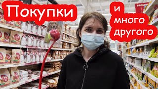 VLOG Наши покупки в магазине. У нас взяли отпечатки пальцев. Наши животные в Украине