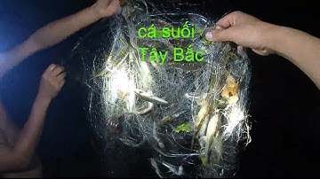 Quăng chài và thả lưới đêm suối tây bắc