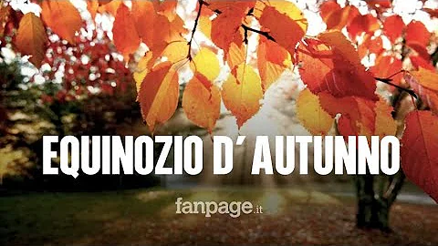 Come descrivere il bosco in autunno?