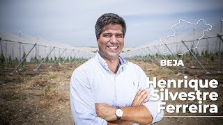 Portugal Precisa do Henrique Silvestre Ferreira, cabeça de lista por Beja