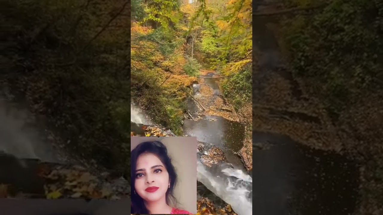 Beautiful Nature videos from USA! USA Travel Videos! Nature sound! Best nature Videos!