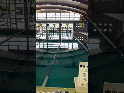 【水泳】リハビリスイムスタート#shorts