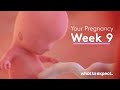 9 weeks pregnant  what to expect