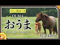 おうま(♬お馬の親子は仲良しこよし)byひまわり🌻歌詞付き【日本の歌百選】