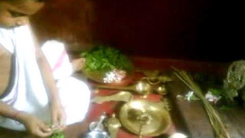 C:\Documents and Settings\AMTX\Desktop\MOV00644.flv