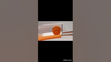 Not a perfect loop blender 3D beginners #3danimation #blenderrender3d #blender3d #blender3dmodel