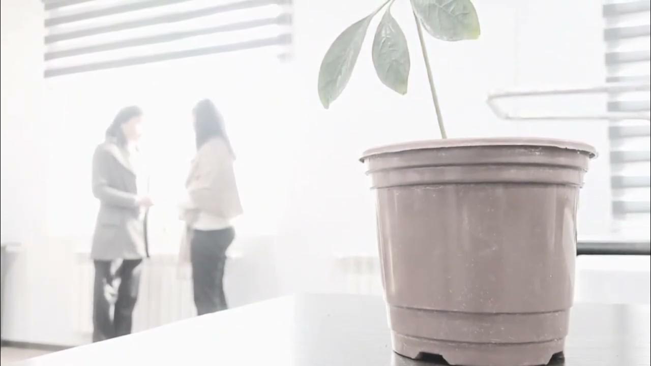 U bahaybat ko‘kraklarini ko‘rsatdi. Yoqimli qiz yalangoch fotosurat