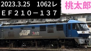 桃太郎貨物列車1062レ EF210-137 20230325