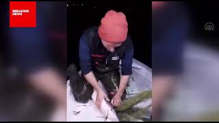 Balıkçı’dan Yakaladığı Köpekbalığına Nasihat