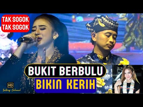 Niken Salindry - STECU STECU - Kembar Campursari (Official Music Video)