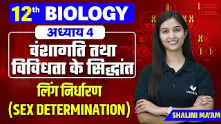 Sex Determination | Principles of Inheritance and Variation | 12th/NEET Chapter 4