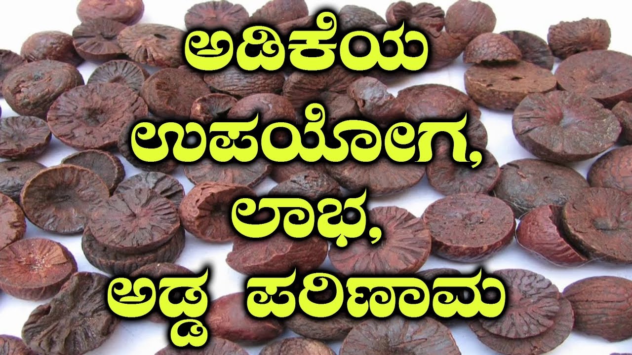 Uses, Benefits & Side Effects Of Betel Nuts ಅಡಿಕೆ