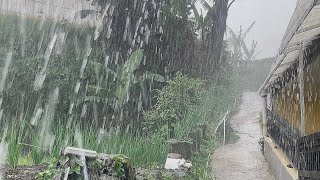 Heavy Rain in Very Cold Village | Relaxing Sounds of Heavy Rain | l Calming Rain ASMR