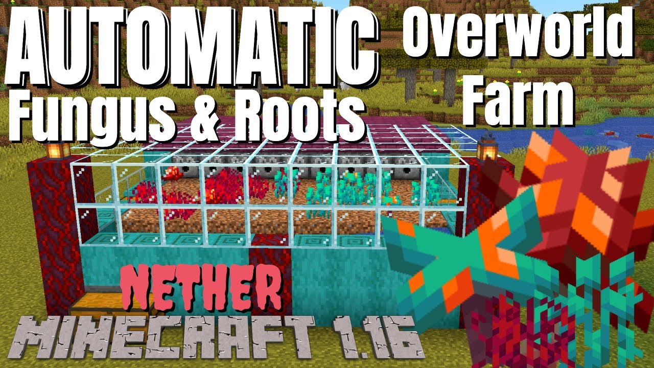 Minecraft 1.16 Survival Farms: Crimson Fungus & Warped Fungus Farm also