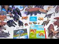 NEW WILD ANIMALS - Chimpanzee, Gorilla, Red Panda, Orang Utan, Squirrel Monkey, Buffalo, Bison,