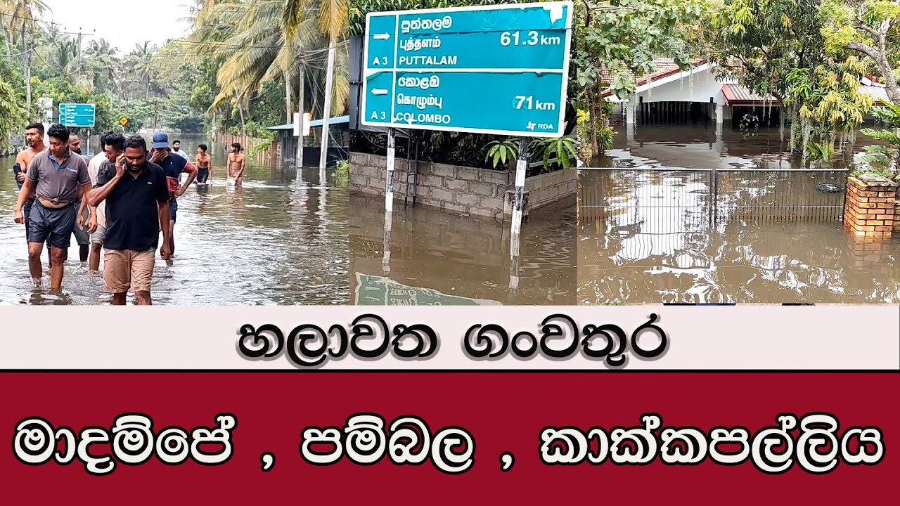 හලාවත අලුත්ම තත්වය #mojonewslk