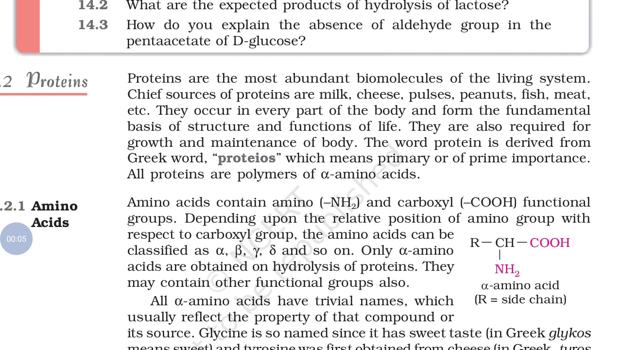 Protein introduction, amino acid introduction class 12 , ncert
