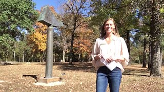 Plenty of Art & Nature to enjoy at Cedarhurst!