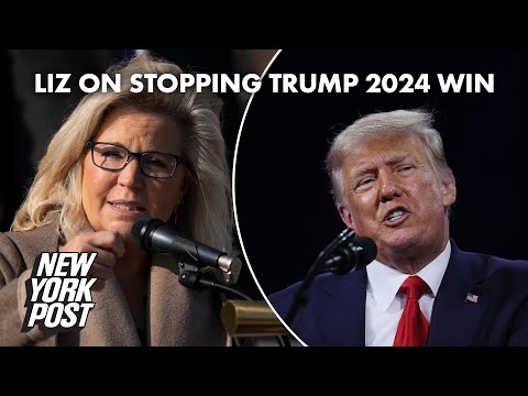 Liz Cheney willing to do ‘whatever it takes’ to prevent Trump win in 2024 | New York Post