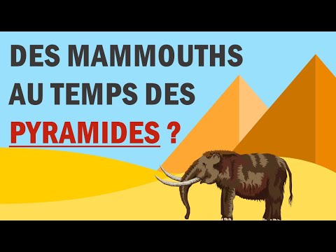 Vidéo: Près De Moscou, Il Y Avait Des Bisons Et Des Mammouths - Vue Alternative