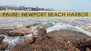 Pause : Relax to the water sounds of Newport Harbor ASMR