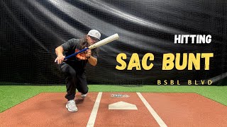 Sacrifice Bunt Technique