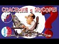 Муравьи Messor structor. МУСОР КАК СПАСЕНИЕ!