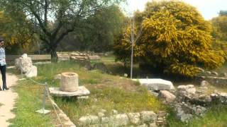 The Place of Socrates' Death