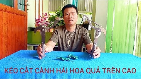 BỘ ĐẦU KÉO CẮT TỈA CÀNH CÂY HÁI HOA QUẢ TRÊN CAO MẪU NHƯ VIDEO TEST CHUẨN CHO MỌI NHÀ 