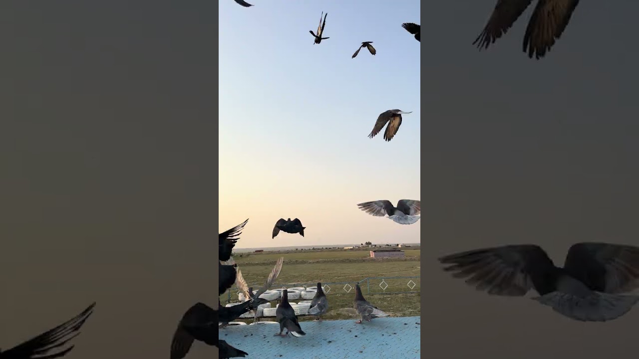 ٢٥ فبراير، ٢٠٢٦