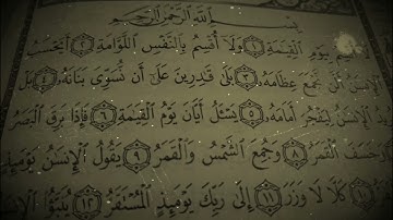 سورة القيامة برواية حفص عن عاصم بصوت الشيخ// عبدالهادي عبدالستار أبوعوض.