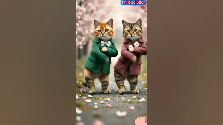 Video 10617151: forest cat cute, cats cute pets dancing, cat dance funny pets, cat cute adorable pets