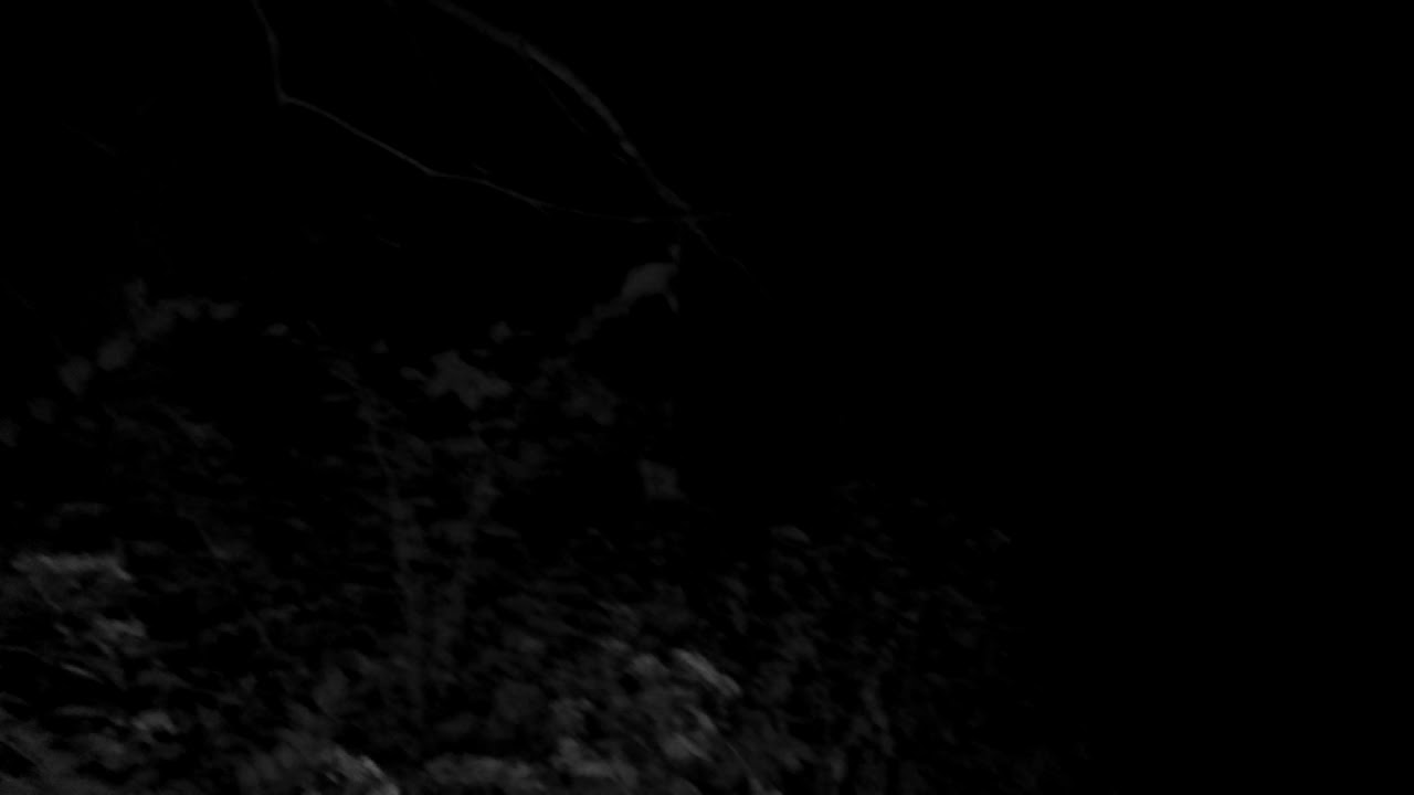 Aux Sable Cemetery Minooka