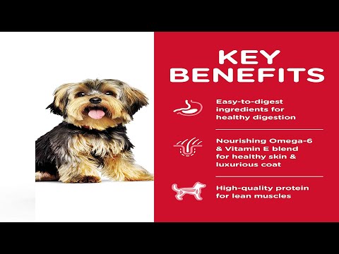 Hill's Science Diet Dry Dog Food, Adult, Small Paws for Small Breed Dogs By amazon