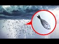 The Coolest Natural Phenomena Worth Travelling to See