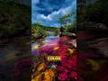 Caño Cristales The River of Five Colors Like Rainbow! #cañocristales #RiverOfFiveColors #Shorts #fyp
