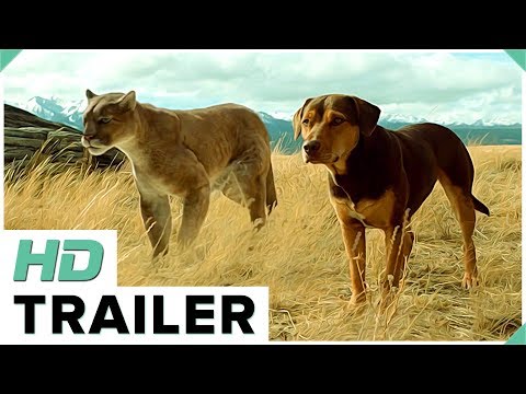 Un Viaggio a Quattro Zampe (2019) - Trailer Italiano HD