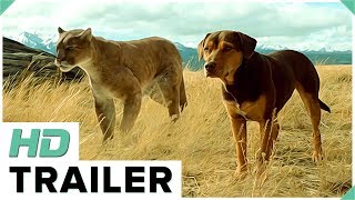 Un Viaggio a Quattro Zampe (2019) - Trailer Italiano HD