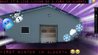 OUR FIRST WINTER IN ALBERTA |DAY 1 OF HOW WE FEED | FROSTY PELLETS| #2021