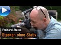 Freihand-Stacks - Fokus-Stacking ohne Stativ / Makrofotografie